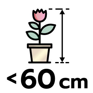 feature icon